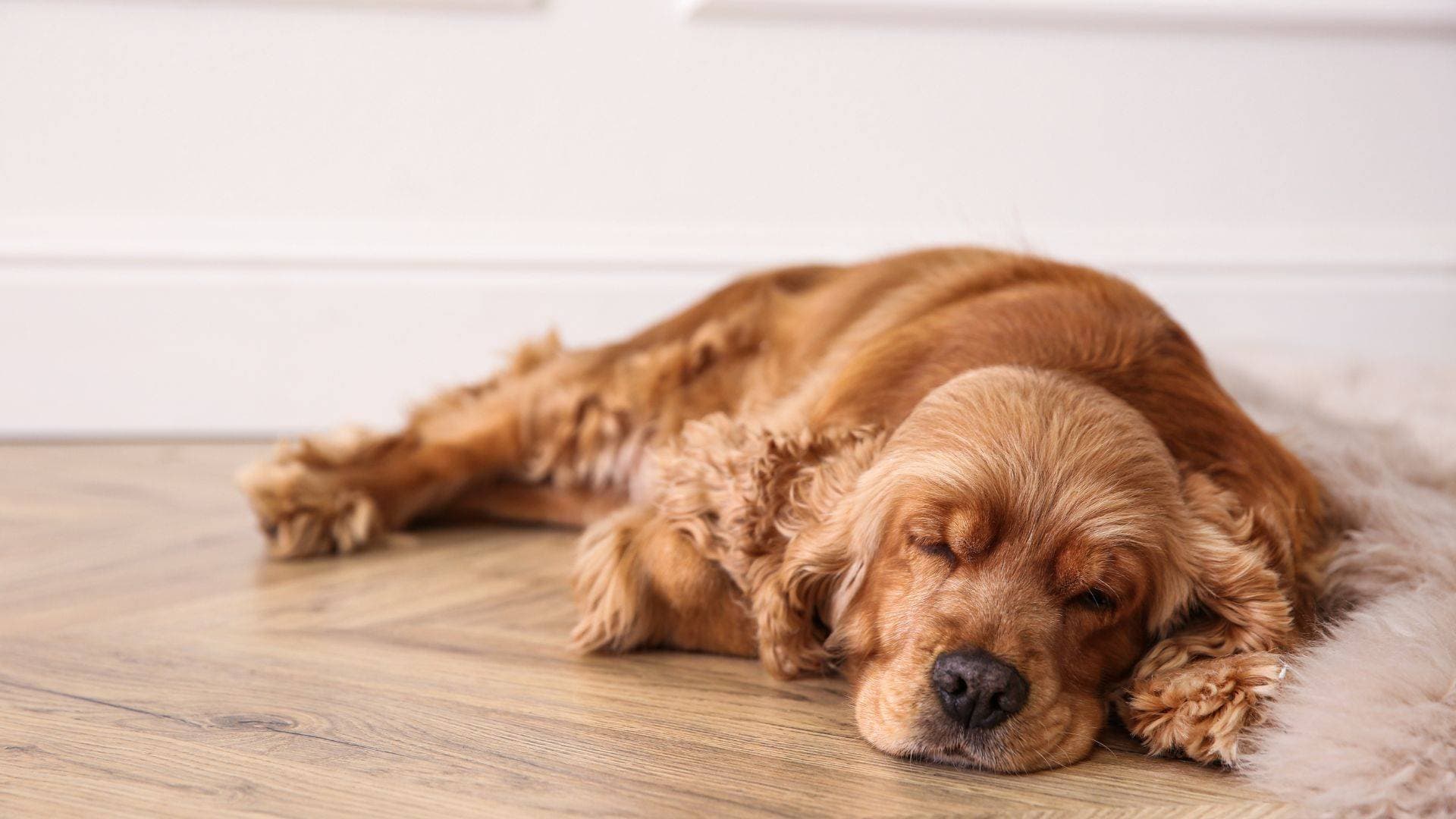 Underfloor heating: your essential guide to retrofitting